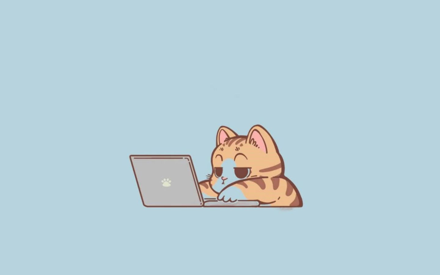 Mèo cam làm việc trên laptop