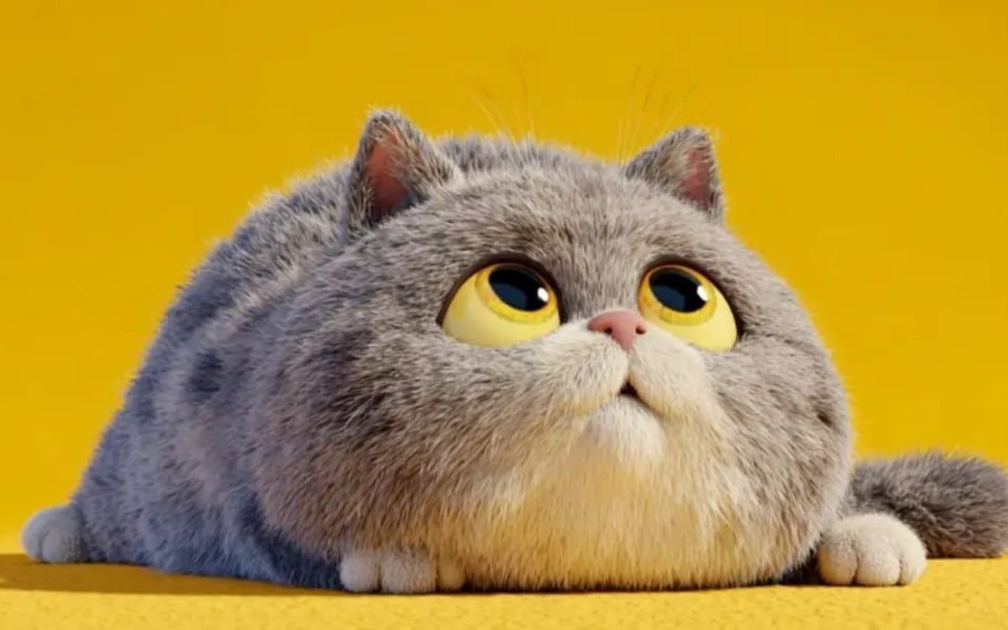 Mèo xám béo ú, vô tri giữa nền vàng rực