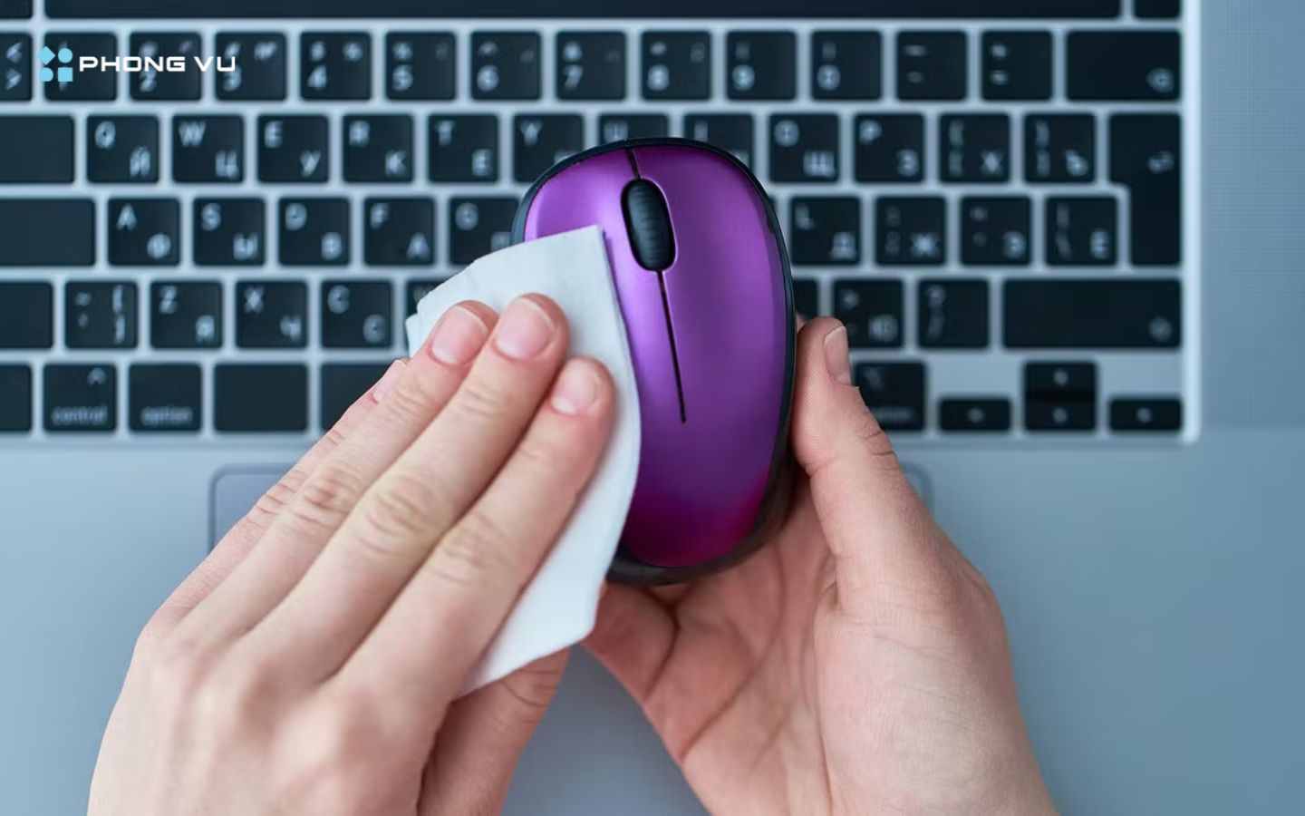 Mẹo bảo quản và tăng tuổi thọ chuột (Nguồn: Internet)