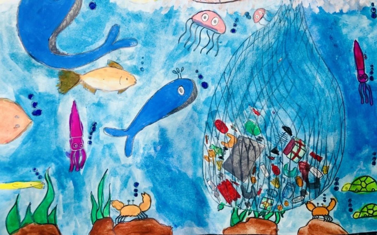 Bảo tồn sự sống biển