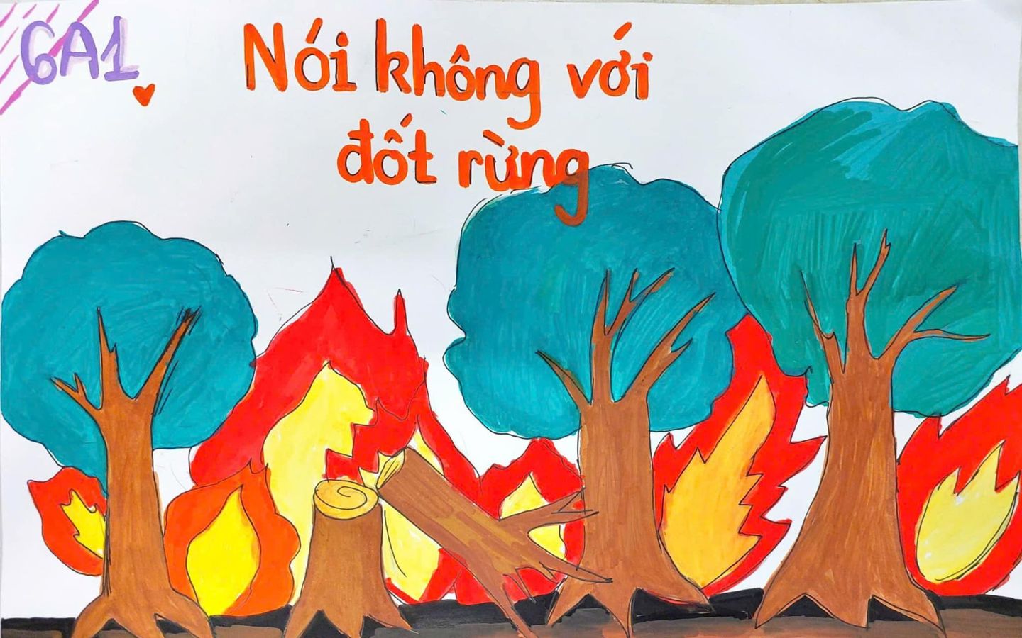 Nói không với đốt rừng