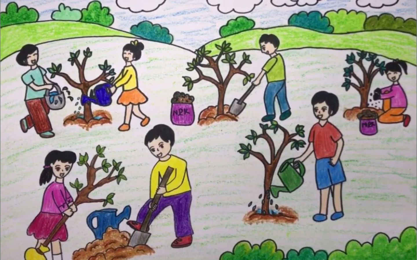 Cùng nhau trồng cây che phủ đất