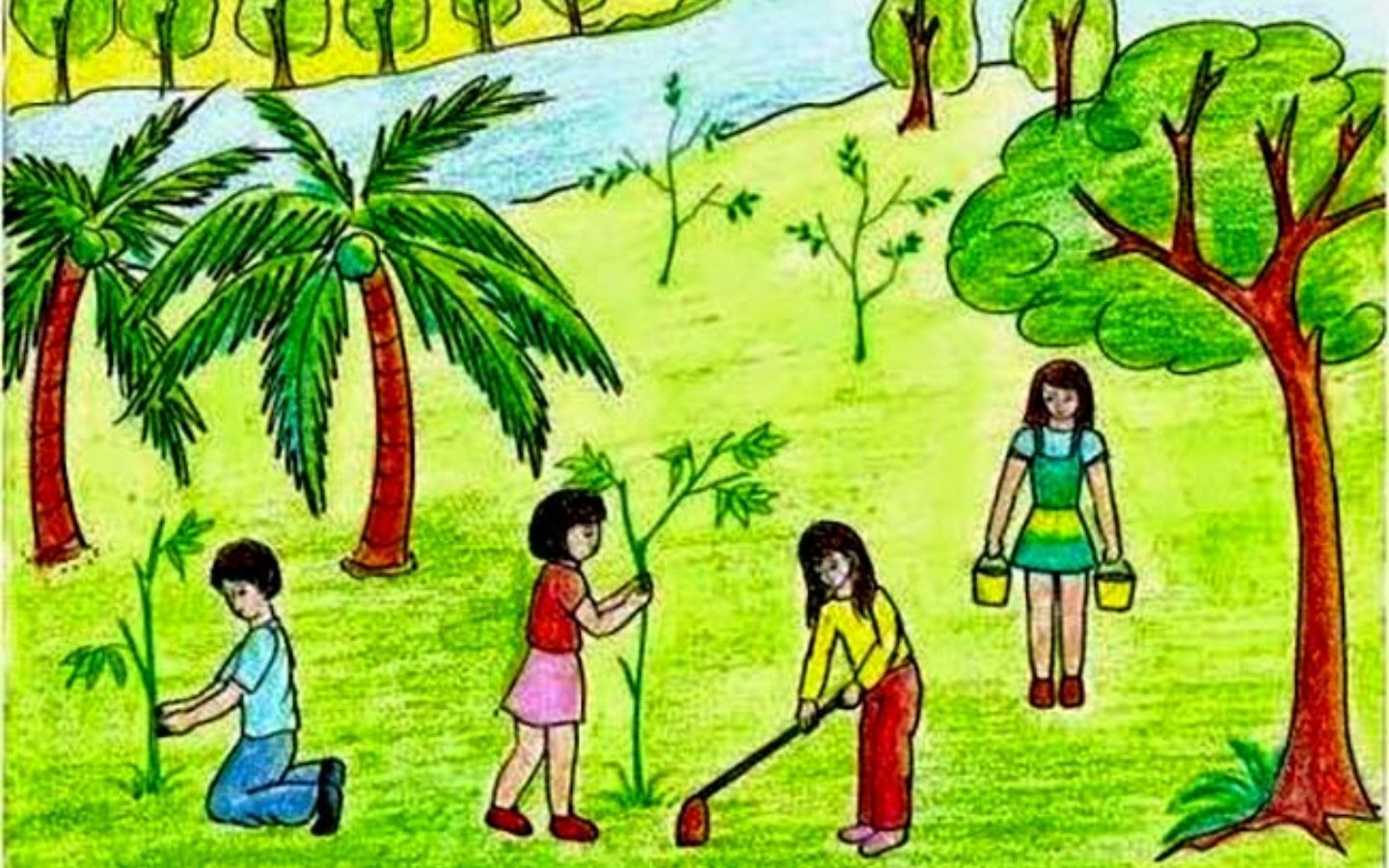 Trồng cây phủ xanh đồi trọc