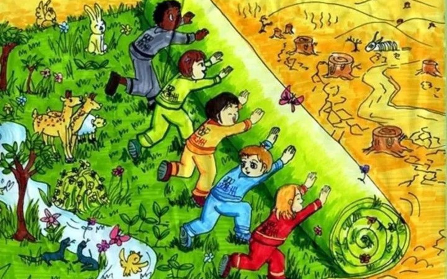 Cứu rừng, chống cháy