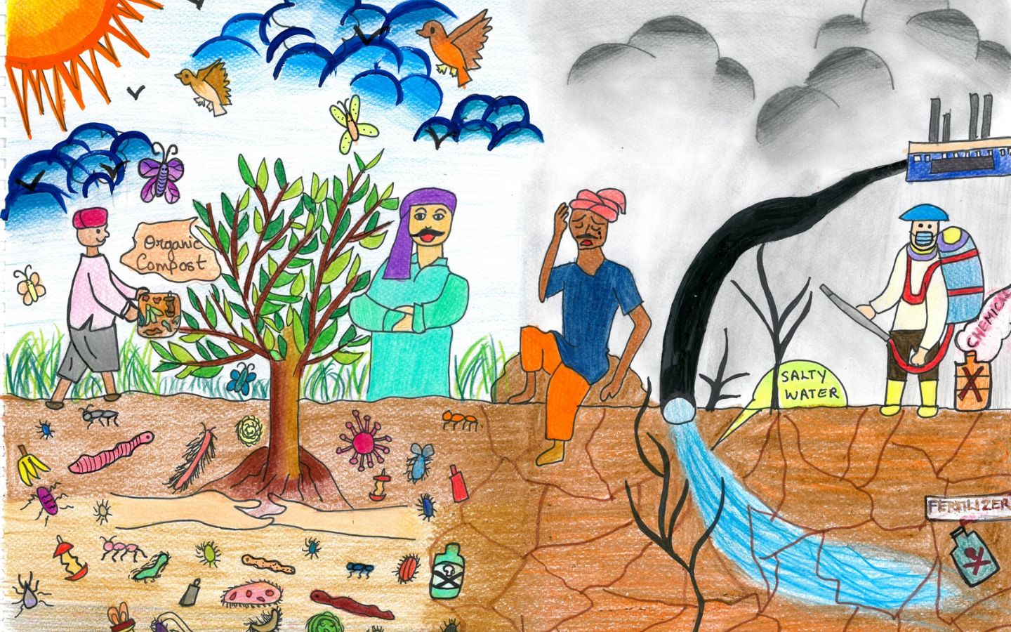 Hạn hán, giữ đất màu