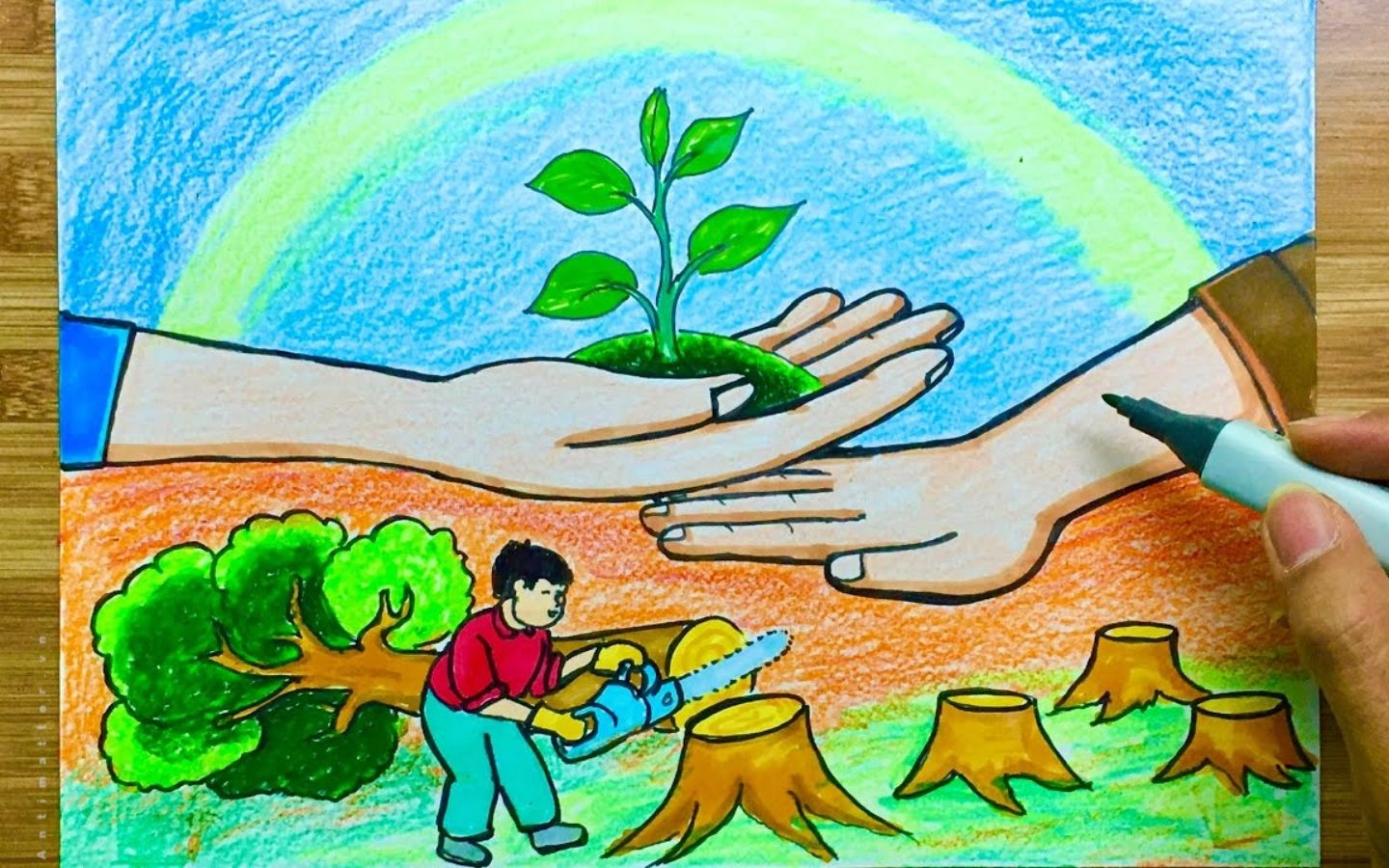 Ngăn chặt nạn phá rừng