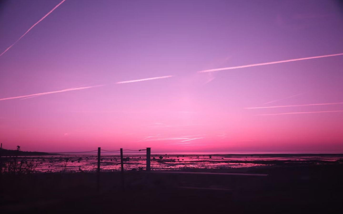 Đường chân trời tím hồng lãng mạn