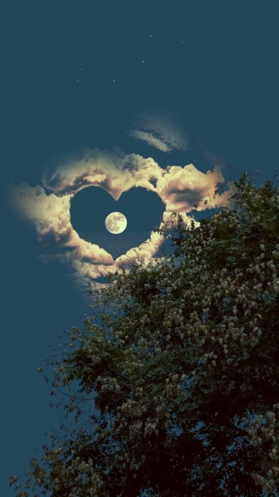 Cánh đồng tối mây bay vờn trăng