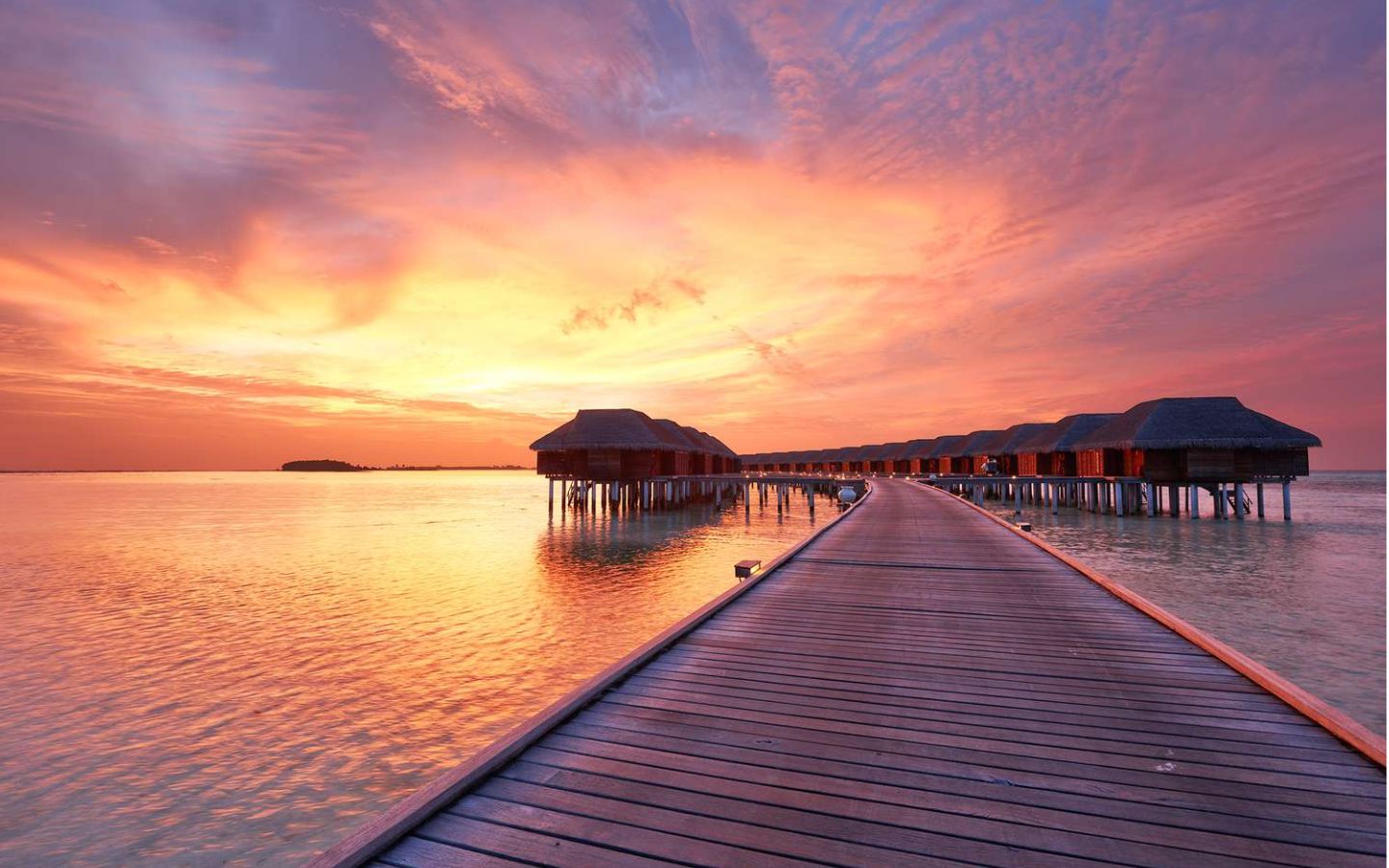 Cầu gỗ dài ngắm chiều buông xuống