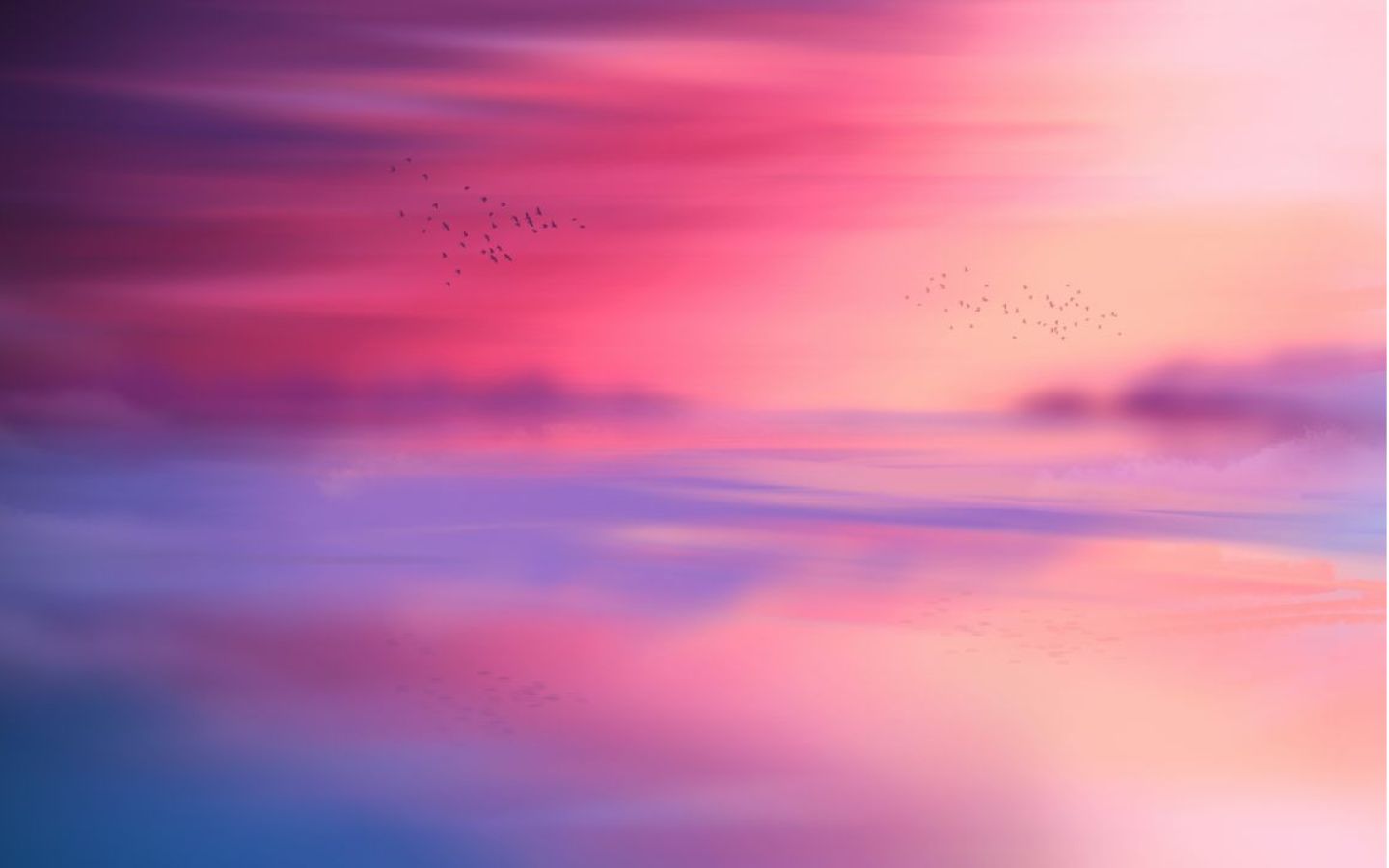 Sắc hồng rực rỡ lụa trời bay