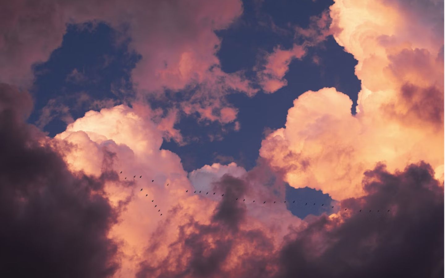 Ánh vàng len lỏi giữa mây hồng