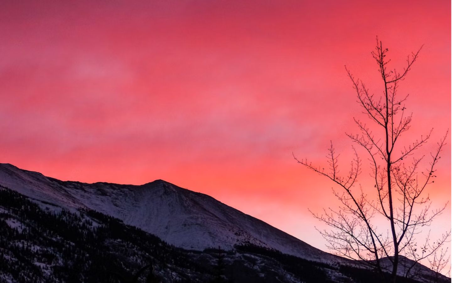 Núi tuyết đỏ rực khoảnh khắc hoàng