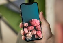 Hình nền hoa mẫu đơn đẹp 4K, full HD thu hút tình duyên cho điện thoại và máy tính Hình nền hoa mẫu đơn đẹp