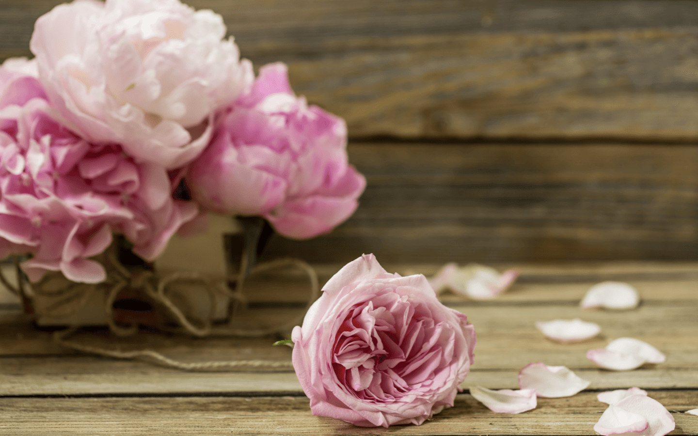 Hình nền mẫu đơn hồng cổ điển