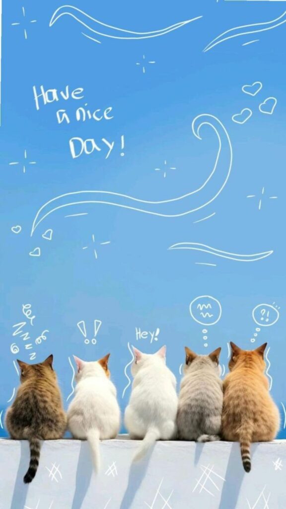 Ngày tuyệt vời của những người bạn mèo