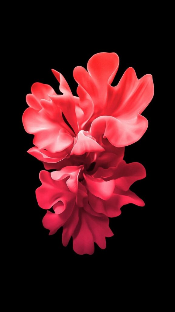 Hoa đỏ nổi bật