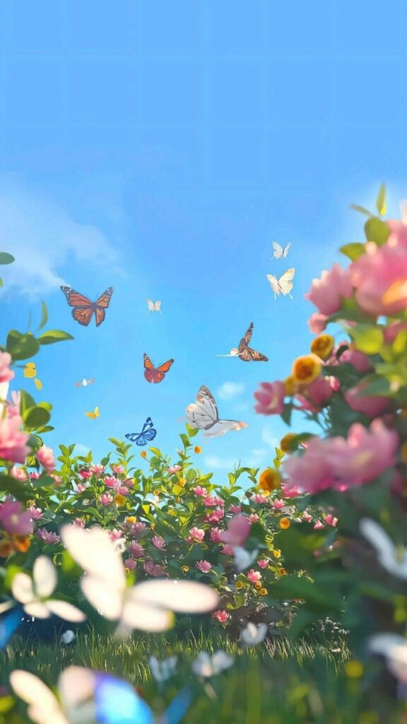 Bướm bay trên cánh đồng hoa