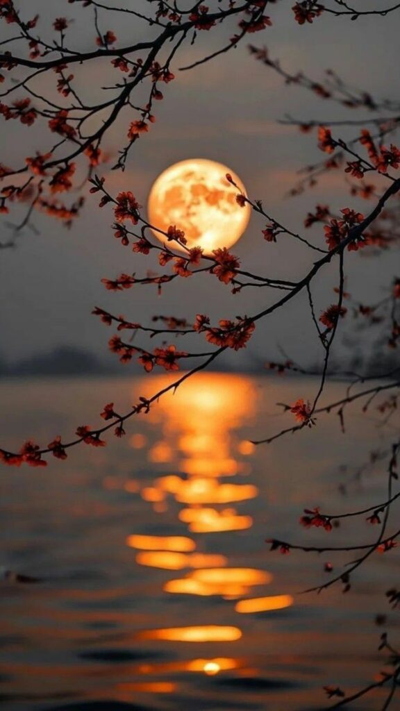 Ánh chiều tà kết hợp cùng cành hoa đào tạo nên một bức hình siêu đẹp 