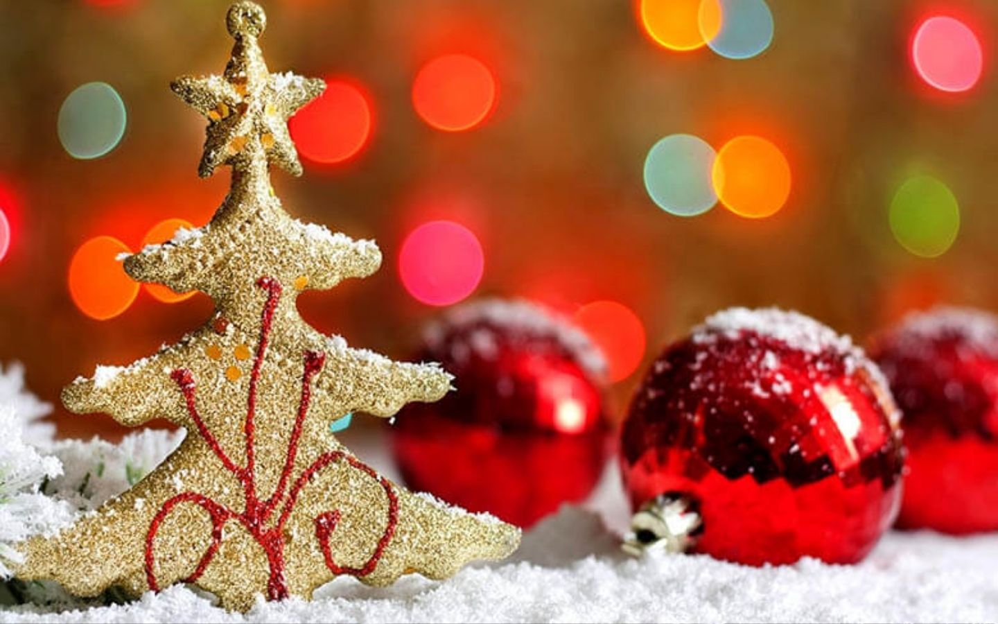 Hãy để mùa Noel này trở thành cơ hội để bày tỏ lòng biết ơn và lan tỏa niềm hạnh phúc đến gia đình