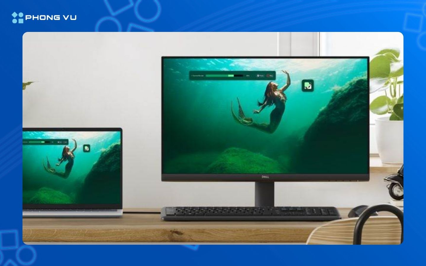 Mẫu màn hình Dell SE2425HM 23.8"  đáng cân nhắc