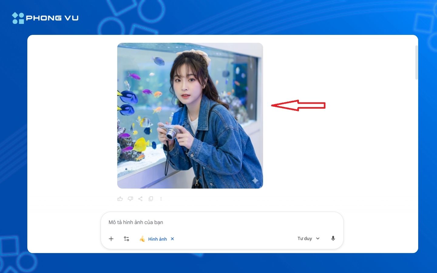 Prompt tạo ảnh tham quan thủy cung với Gemini AI 9 Kết quả hinh ảnh sau khi được Gemini AI khởi tạo