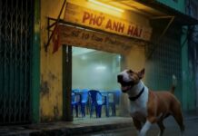Phở Anh Hai gây sốt với trailer phim hành động do AI tạo ra
