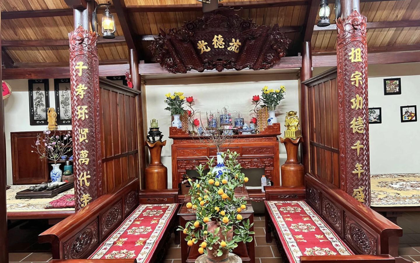 Chậu quất cảnh giúp phòng khách thêm ấn tượng