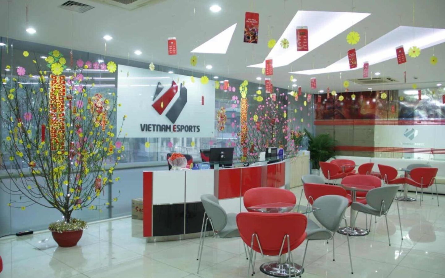 Trang trí đơn giản bằng hoa mai cho văn phòng thêm rực rỡ