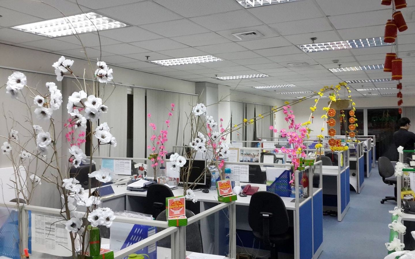 Văn phòng tràn ngập không khí Tết với hoa đào, hoa mai 