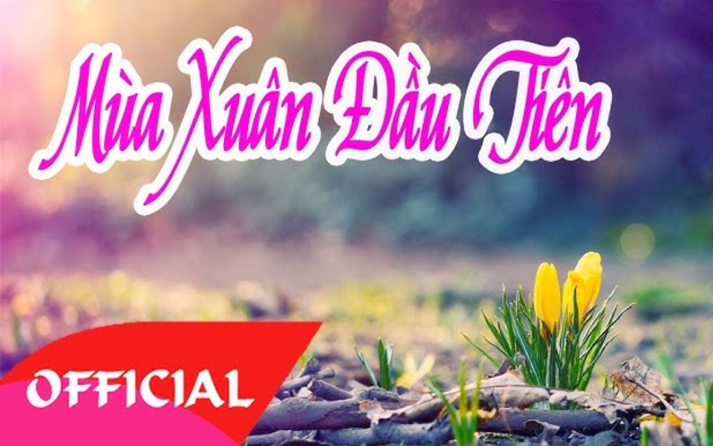 Nhạc tết bất hủ Hòa Tấu Mùa Xuân Đầu Tiên