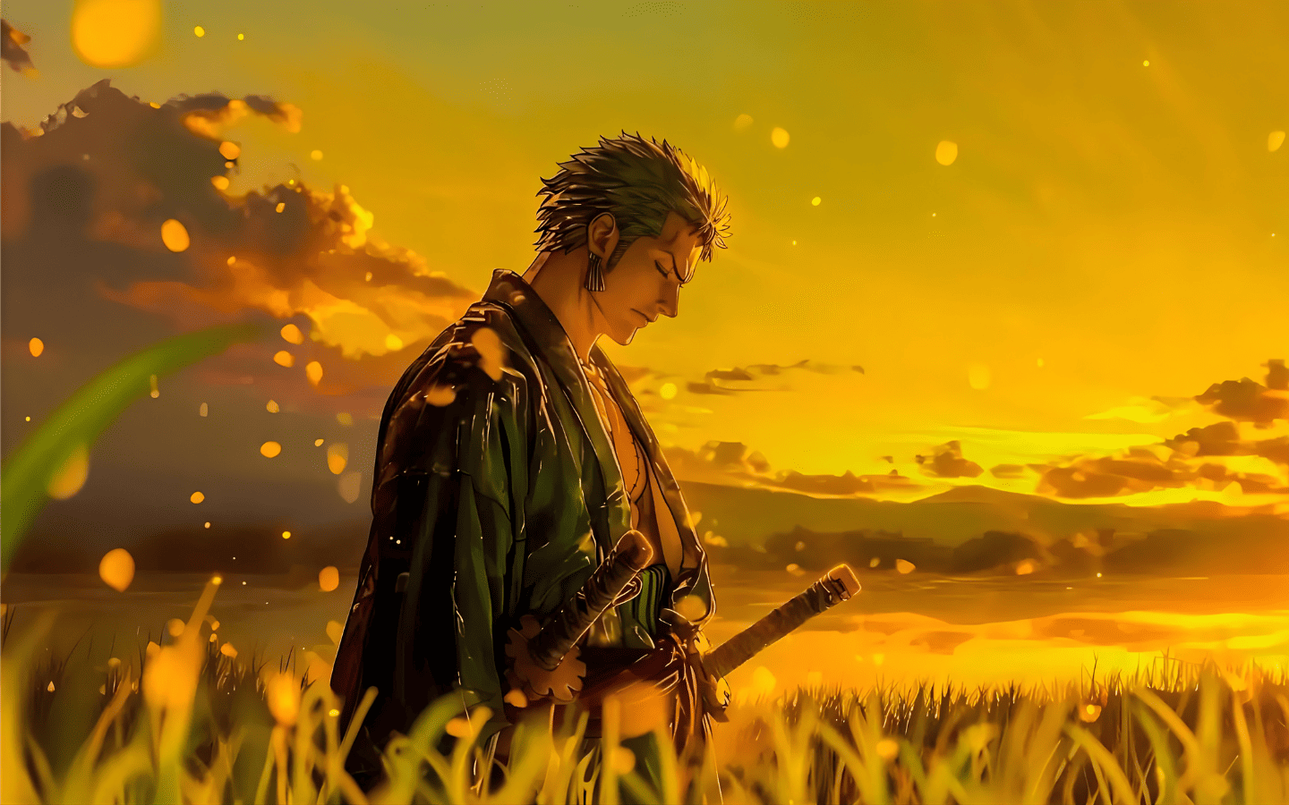 Hình nền kiếm sĩ bất bại Zoro 