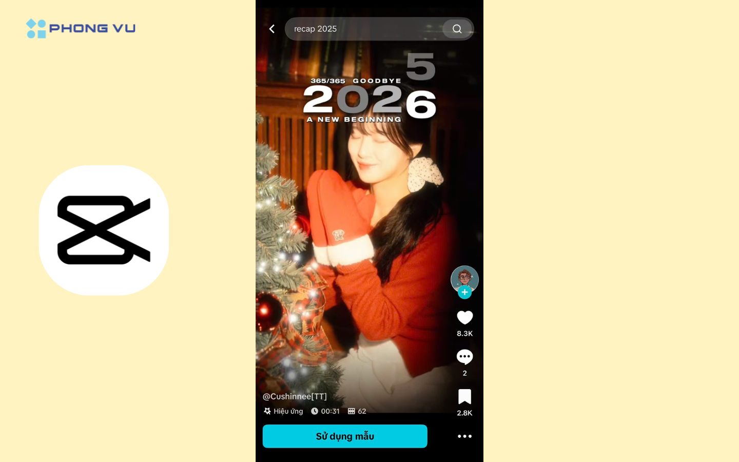Mẫu RECAP 2025 với 61 ảnh