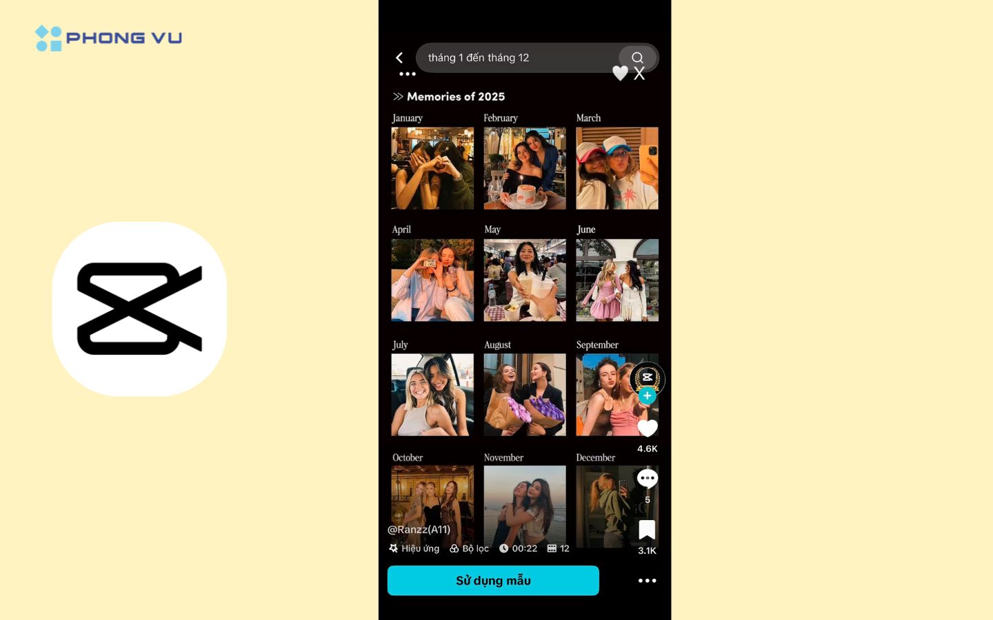 Mẫu RECAP dạng timeline theo từng tháng trong năm
