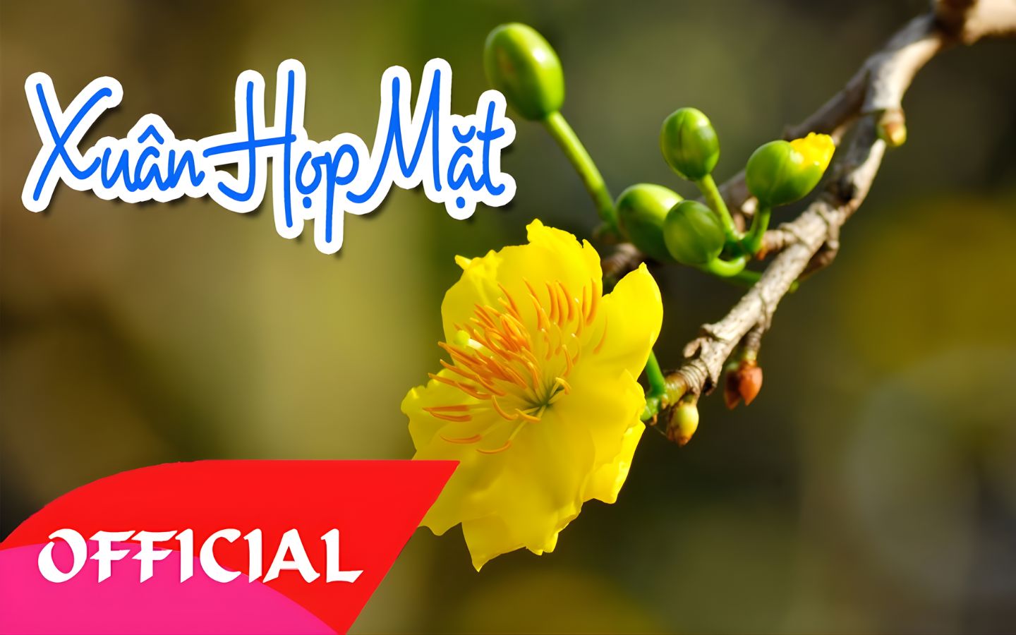 Nhạc vàng, Bolero và hòa tấu mùa tết phổ biến nhất