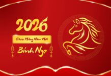 Tết Dương lịch 2026 được nghỉ mấy ngày? Lịch nghỉ chính thức Tết Dương lịch 2026 được nghỉ mấy ngày? Lịch nghỉ chính thức