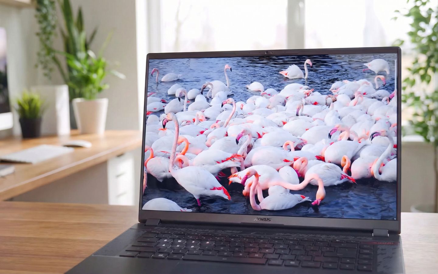 Màn hình 16 inch OLED với độ phân giải 2.5K