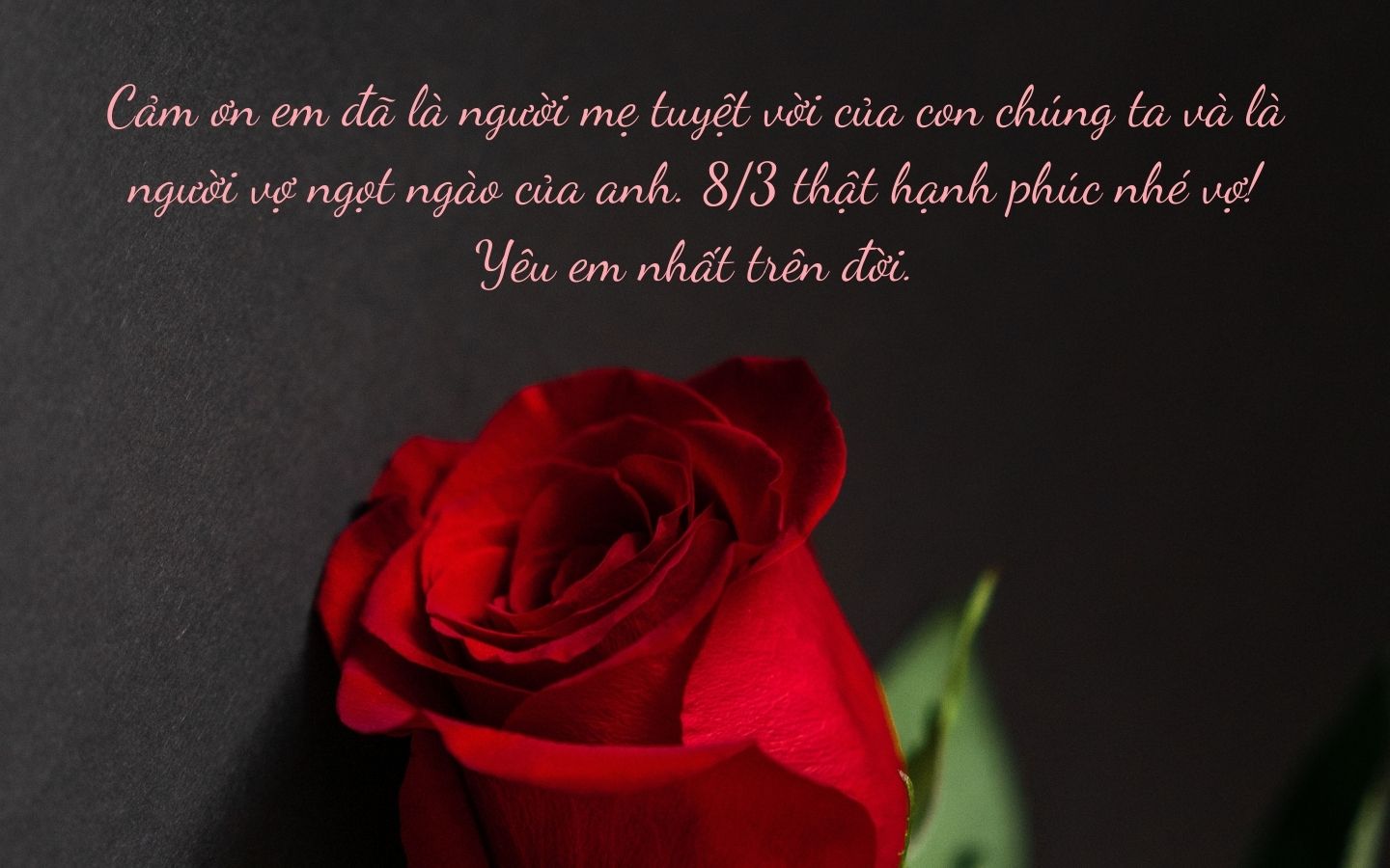 80+ lời chúc 8/3 cho vợ ngọt ngào, lãng mạn và ý nghĩa nhất 3 Lời chúc 8/3 cho vợ lãng mạn, tình cảm