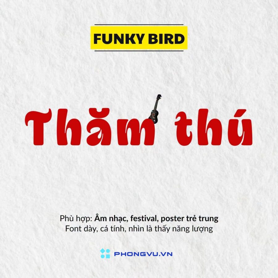List 111+ Font chữ Việt hóa trên Canva có chọn lọc, mới nhất 2026 9 font chu canvaa 2