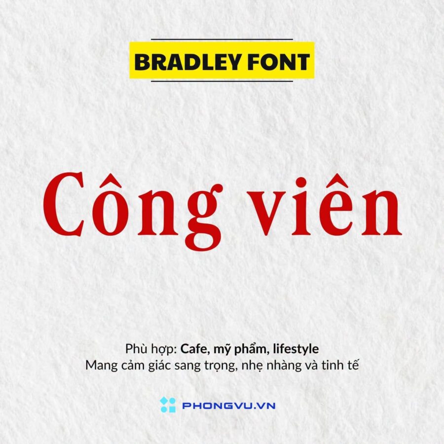 List 111+ Font chữ Việt hóa trên Canva có chọn lọc, mới nhất 2026 12 font chu canvaa 5
