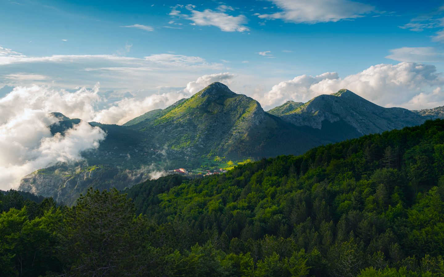 Dãy núi xanh trùng điệp giữa biển mây buổi sáng
