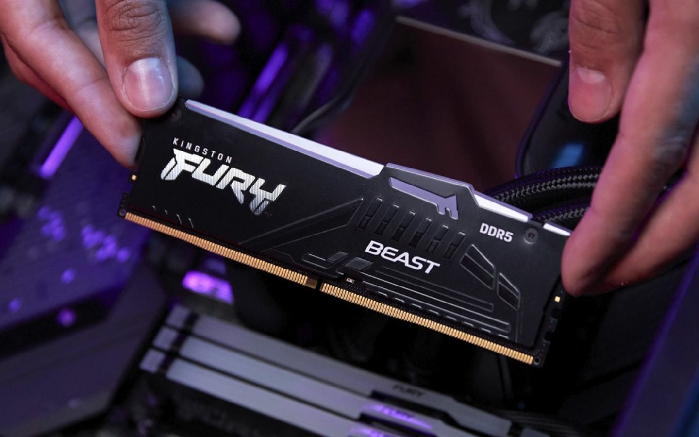 Bảng xếp hạng RAM mạnh nhất 2026 cho AMD và Intel 1 Thị trường RAM PC đa dạng thương hiệu từ phổ thông đến cao cấp