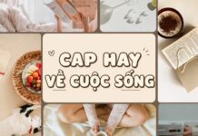 99+ Cap hay về cuộc sống vui vẻ, tích cực giúp bạn yêu đời mỗi ngày 999+ Cap hay về cuộc sống vui vẻ, tích cực giúp bạn yêu đời mỗi ngày