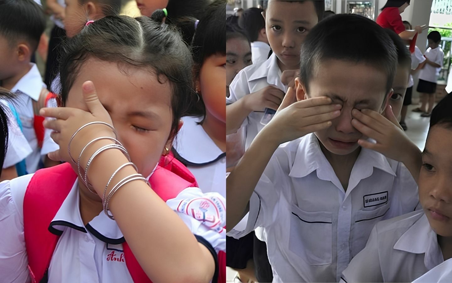 50+ hình ảnh Back to School mới nhất 2026 46 Meme Back to School được yêu thích nhất