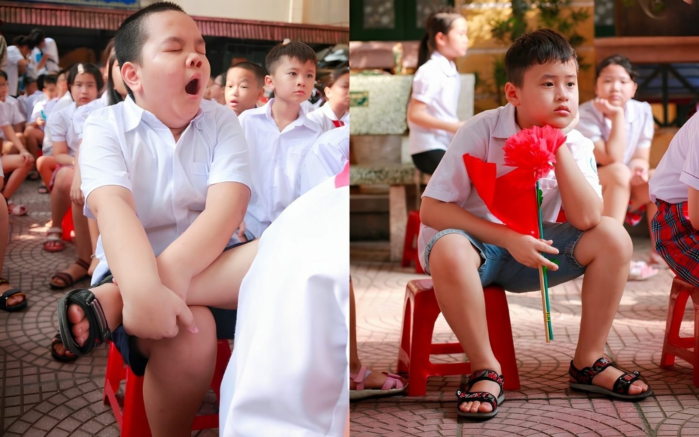 50+ hình ảnh Back to School mới nhất 2026 49 Trở lại trường với muôn vàn cảm xúc