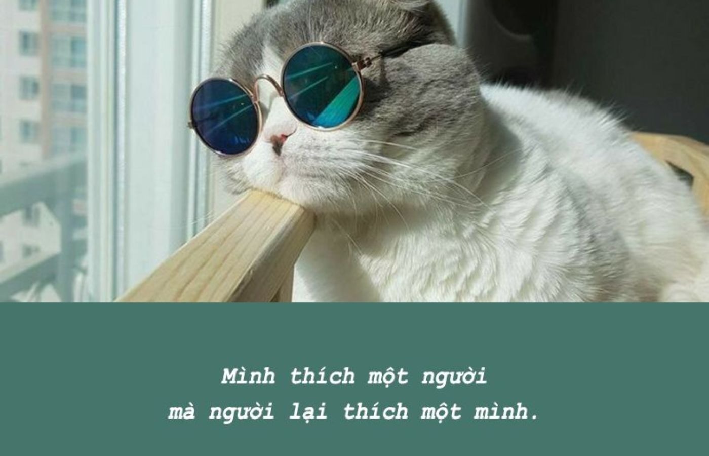 99+ Cap hay về cuộc sống vui vẻ, tích cực giúp bạn yêu đời mỗi ngày 4 image 25