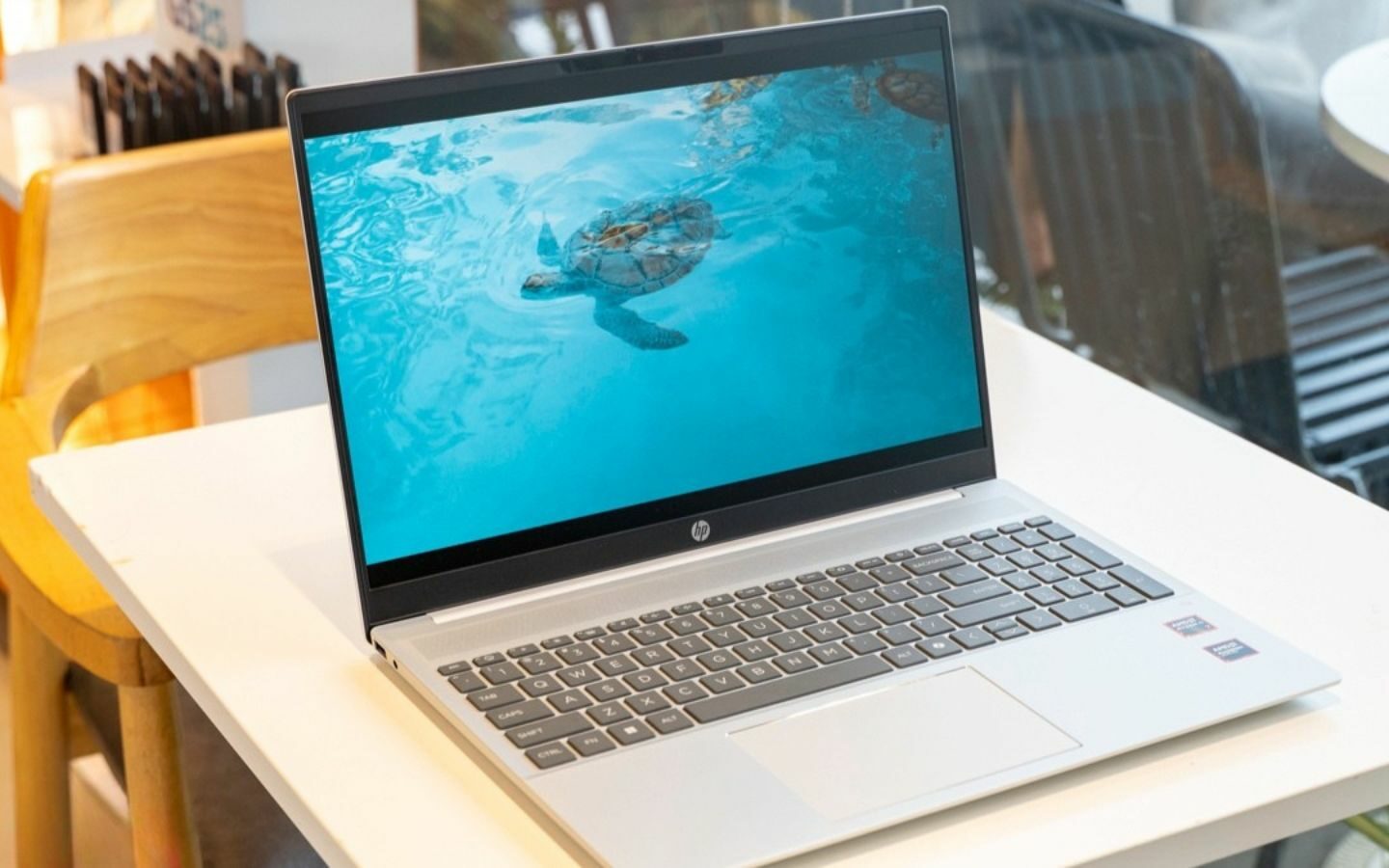 Top 10+ laptop HP cho sinh viên học tập và làm việc năm 2026 4 HP ProBook 4 G1i mang đến hiệu năng AI mạnh mẽ cho sinh viên