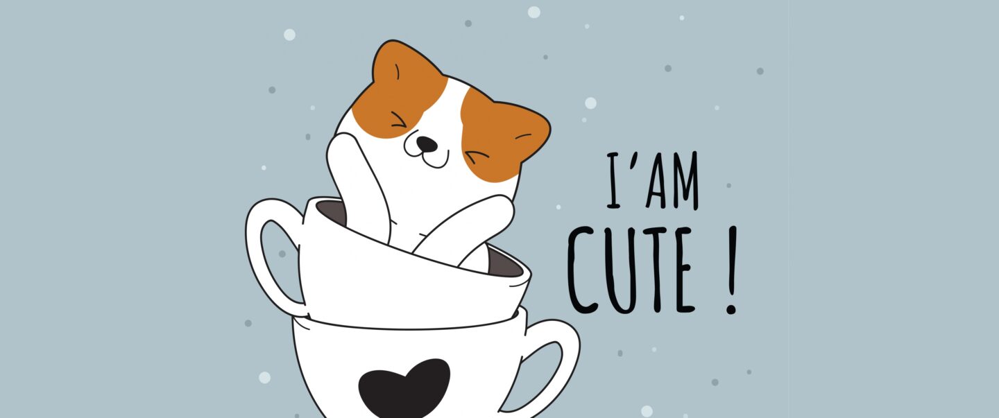 Thú cưng ngộ nghĩnh trong phong cách cute