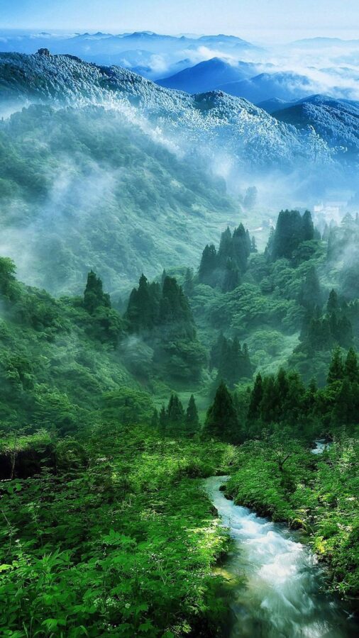 Núi rừng phủ sương cùng dòng suối nhỏ, mang vẻ đẹp thơ mộng