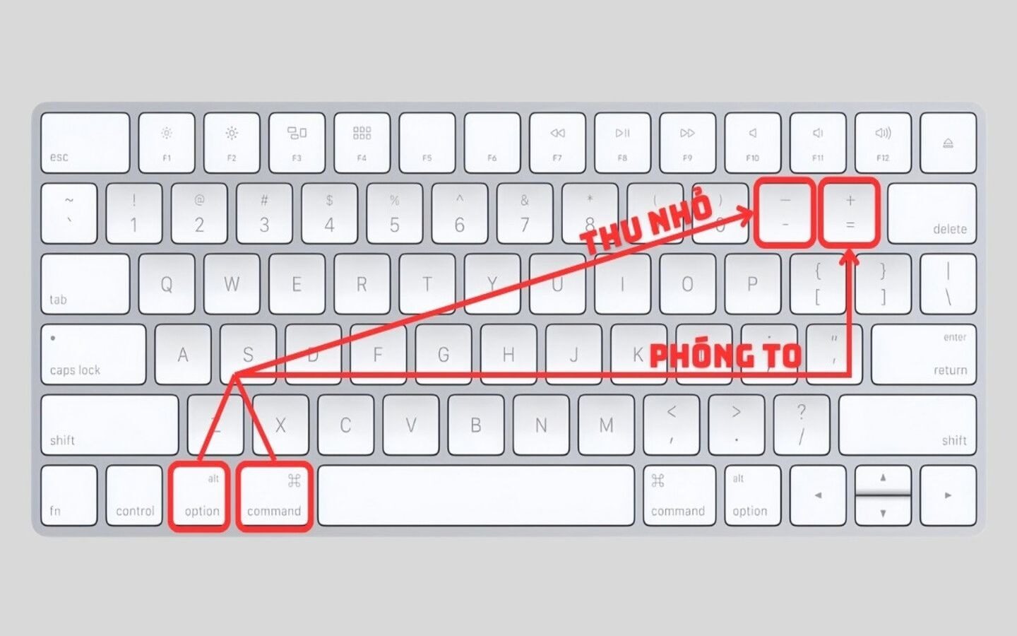 Hướng dẫn cách phóng to màn hình máy tính Windows, Macbook
