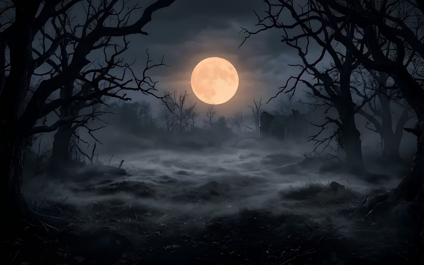 100+ Hình nền Halloween đẹp, kinh dị cho điện thoại, máy tính 26 Hình nền khu rừng Halloween với ánh sáng huyền ảo